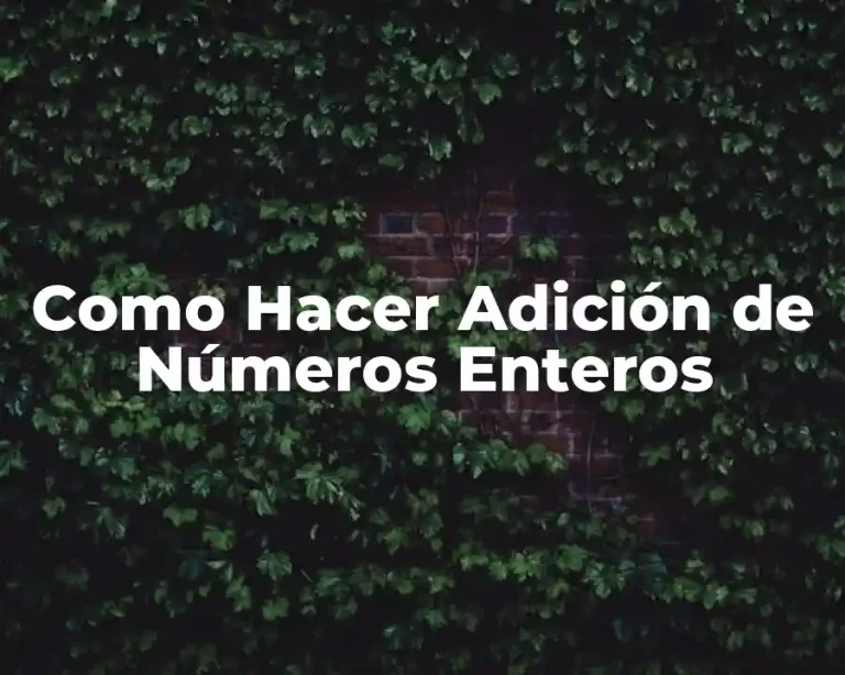 Como Hacer Adición de Números Enteros