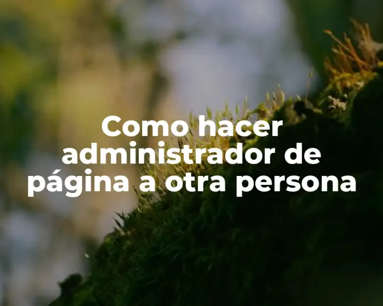 Como hacer administrador de página a otra persona