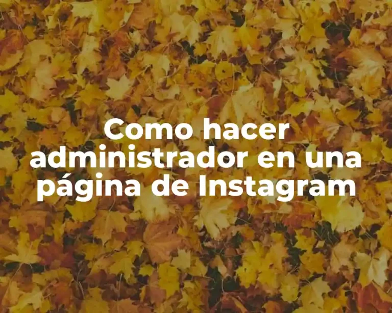 Como hacer administrador en una página de Instagram