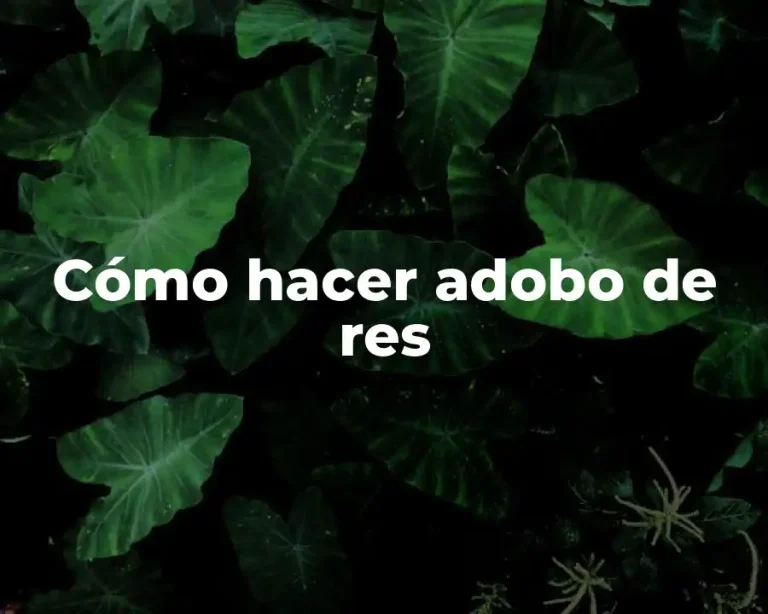 Cómo hacer adobo de res