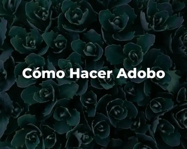 Cómo Hacer Adobo