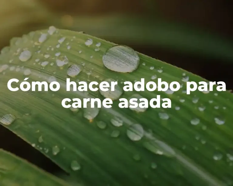 Cómo hacer adobo para carne asada