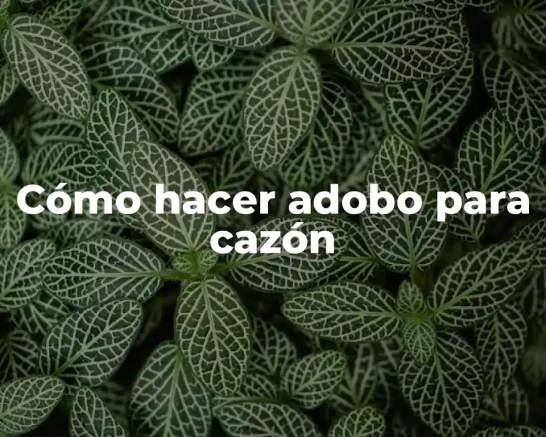 Cómo hacer adobo para cazón