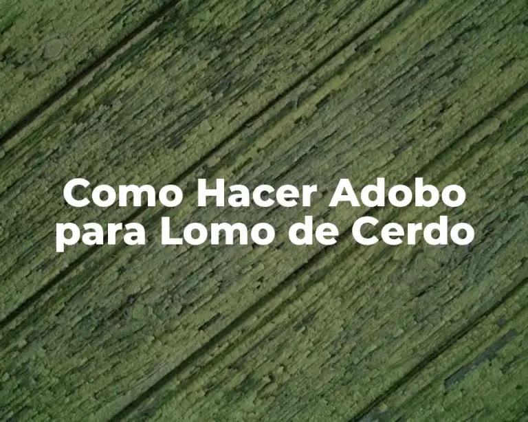 Como Hacer Adobo para Lomo de Cerdo