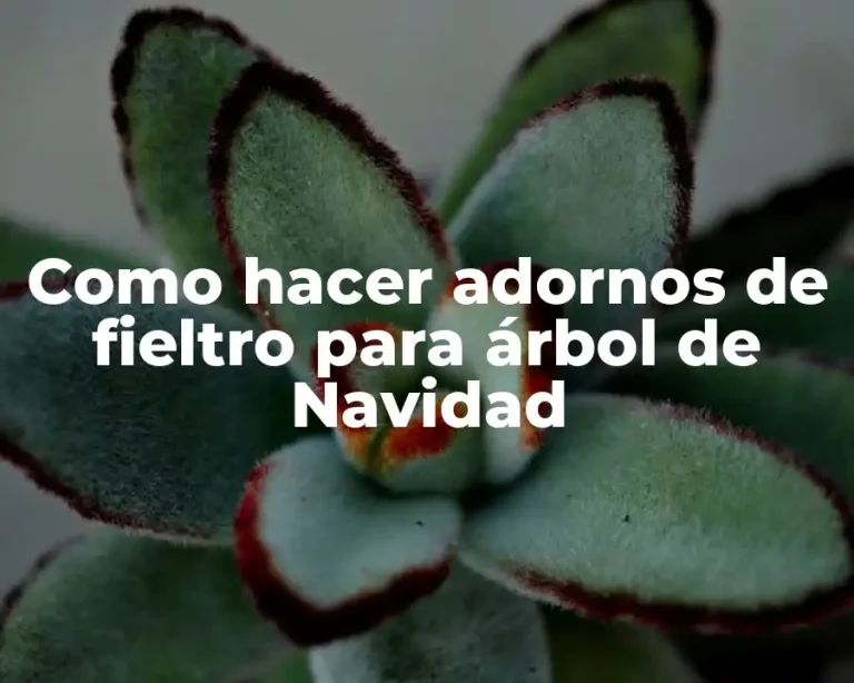Como hacer adornos de fieltro para árbol de Navidad