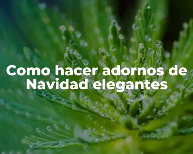 Como hacer adornos de Navidad elegantes