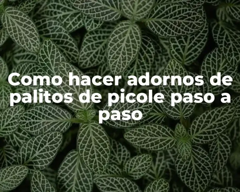Como hacer adornos de palitos de picole paso a paso