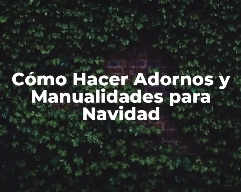 Cómo Hacer Adornos y Manualidades para Navidad