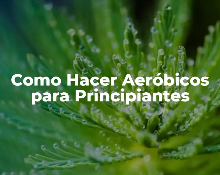 Como Hacer Aeróbicos para Principiantes