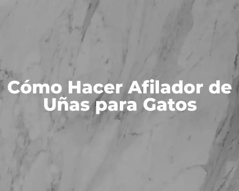 Cómo Hacer Afilador de Uñas para Gatos