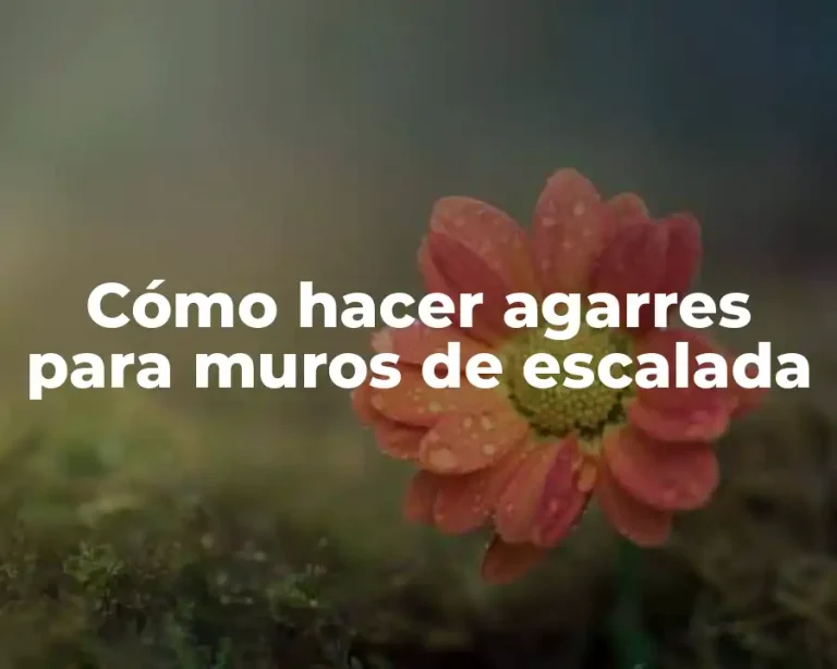 Cómo hacer agarres para muros de escalada