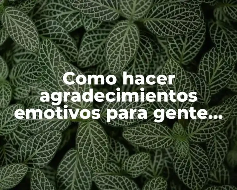 Como hacer agradecimientos emotivos para gente que falleció ejemplos