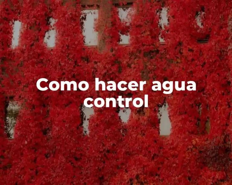 Como hacer agua control