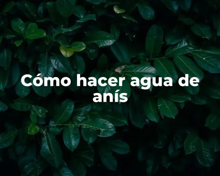 Cómo hacer agua de anís