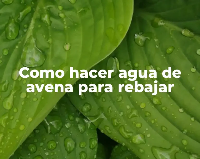Como hacer agua de avena para rebajar