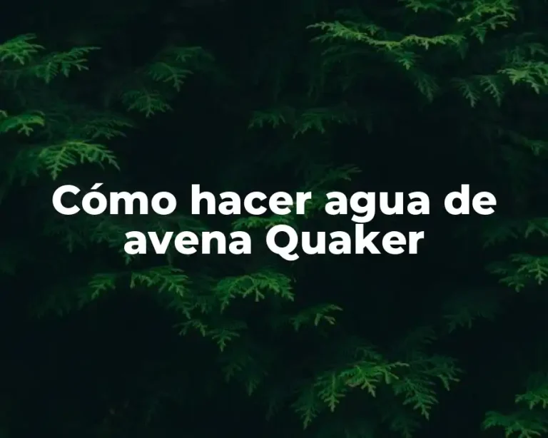 Cómo hacer agua de avena Quaker