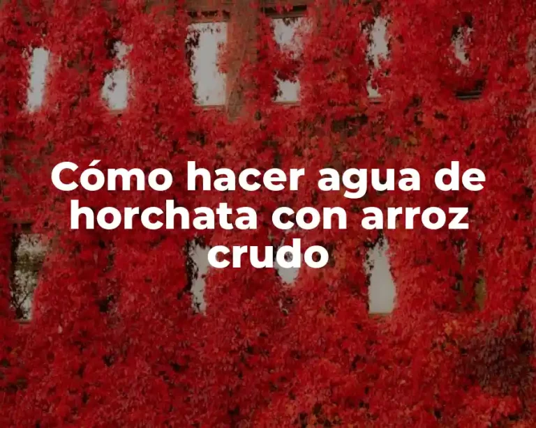 Cómo hacer agua de horchata con arroz crudo
