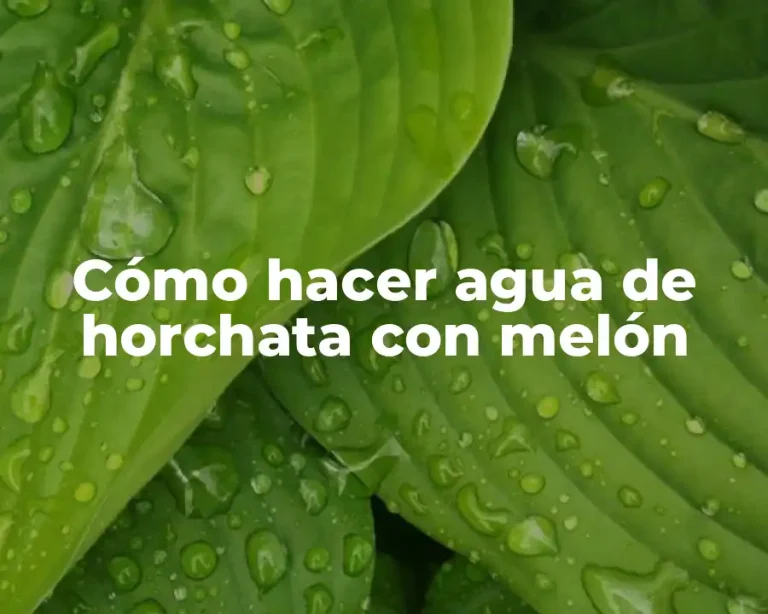 Cómo hacer agua de horchata con melón