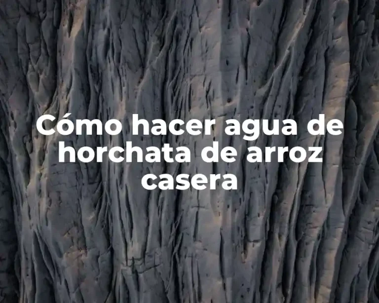Cómo hacer agua de horchata de arroz casera