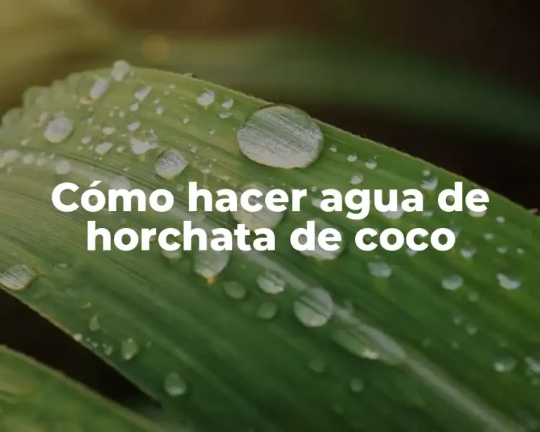 Cómo hacer agua de horchata de coco