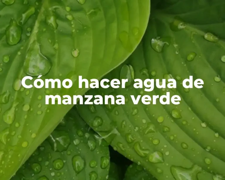 Cómo hacer agua de manzana verde