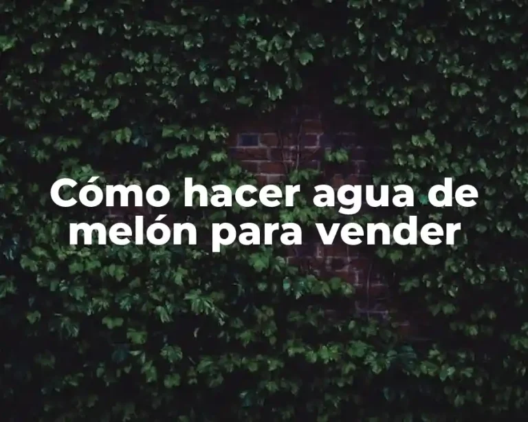 Cómo hacer agua de melón para vender