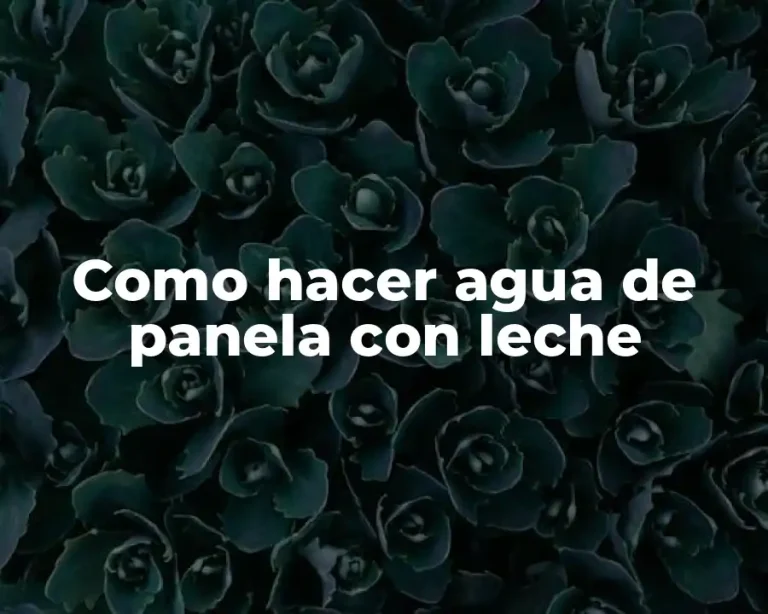 Como hacer agua de panela con leche