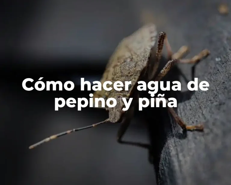 Cómo hacer agua de pepino y piña