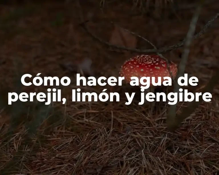Cómo hacer agua de perejil, limón y jengibre