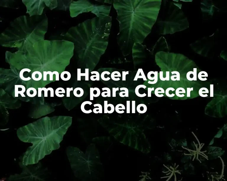 Como Hacer Agua de Romero para Crecer el Cabello