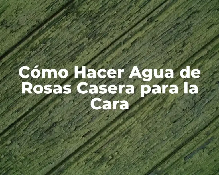Cómo Hacer Agua de Rosas Casera para la Cara