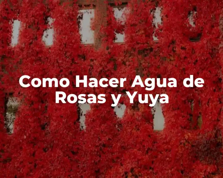 Como Hacer Agua de Rosas y Yuya