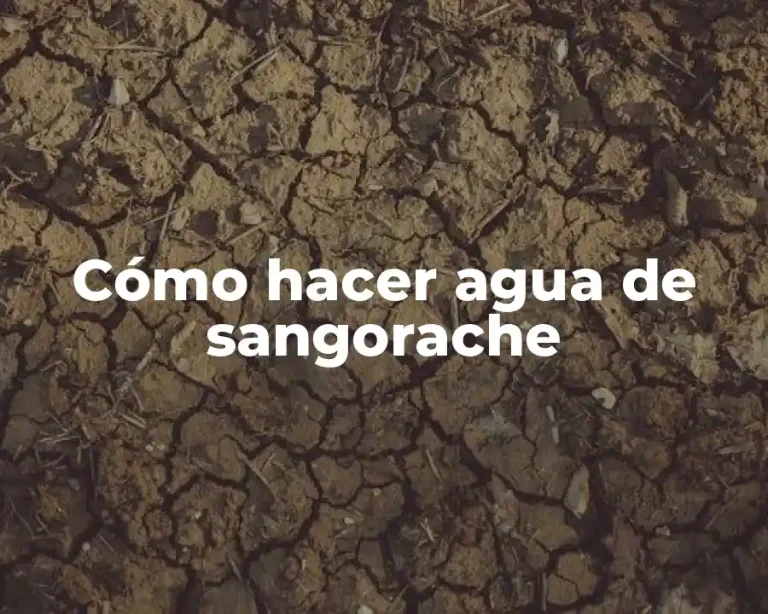 Cómo hacer agua de sangorache