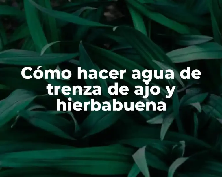 Cómo hacer agua de trenza de ajo y hierbabuena