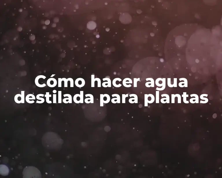 Cómo hacer agua destilada para plantas