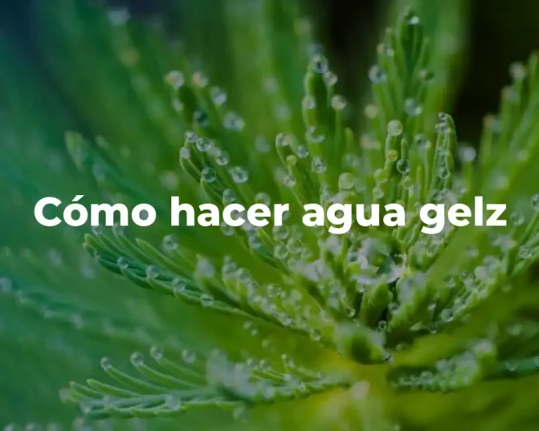 Cómo hacer agua gelz