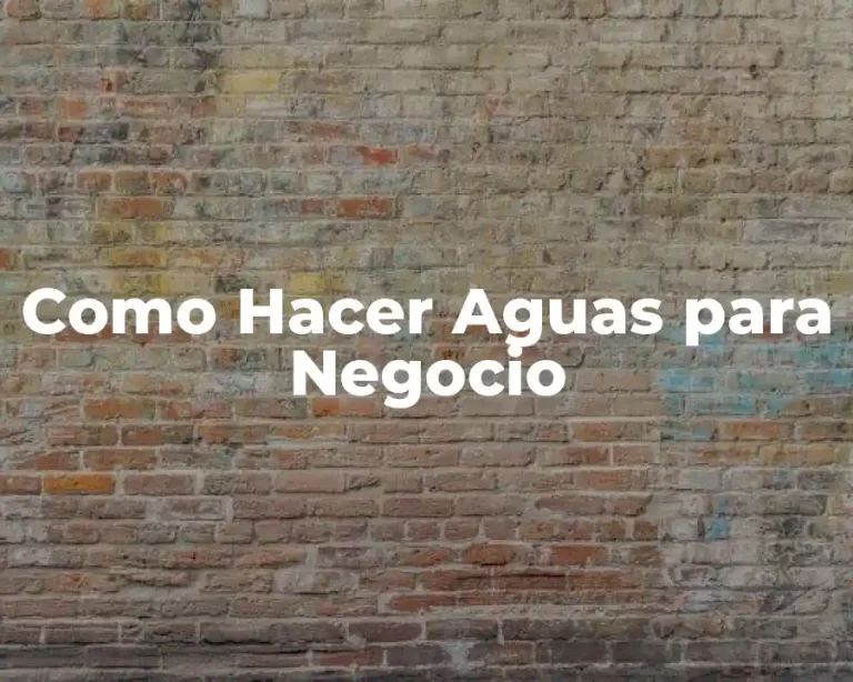 Como Hacer Aguas para Negocio