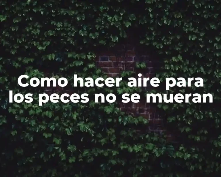 Como hacer aire para los peces no se mueran