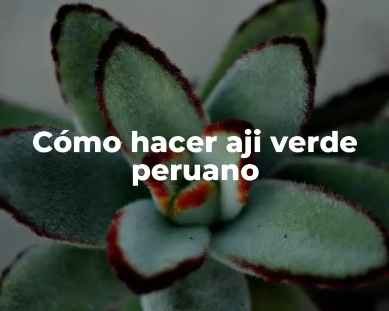 Cómo hacer aji verde peruano