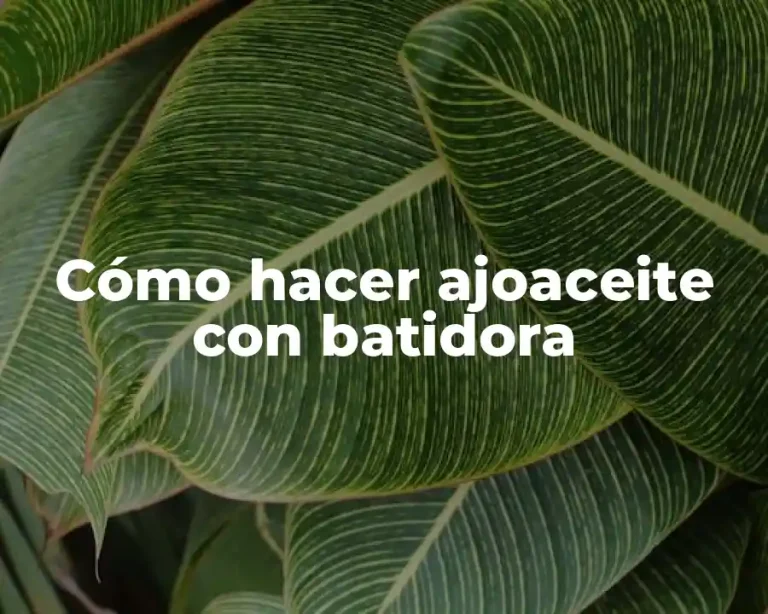 Cómo hacer ajoaceite con batidora
