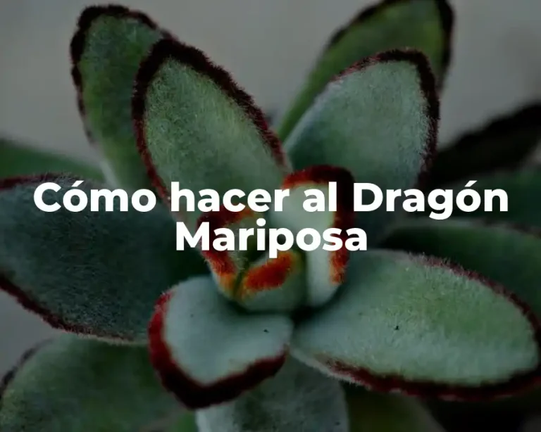 Cómo hacer al Dragón Mariposa