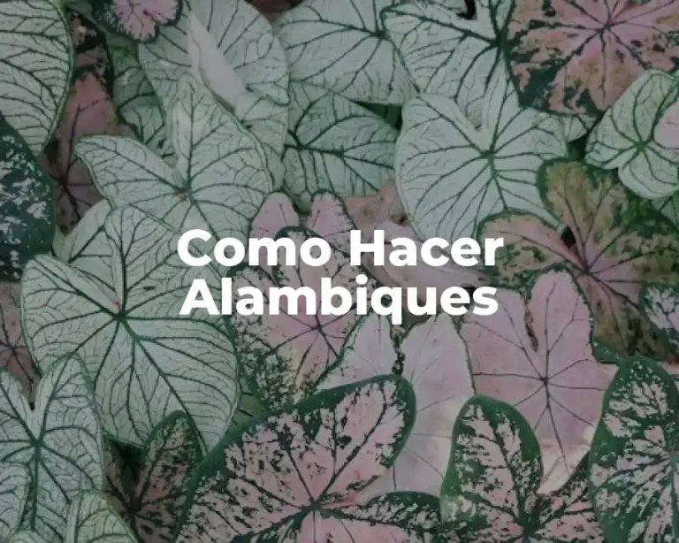 Como Hacer Alambiques