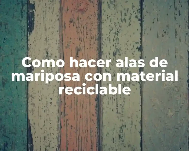 Como hacer alas de mariposa con material reciclable