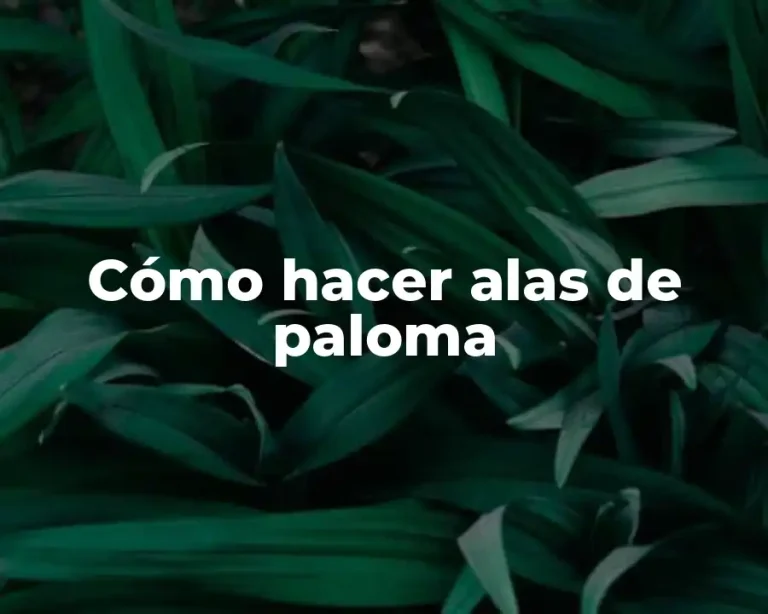 Cómo hacer alas de paloma