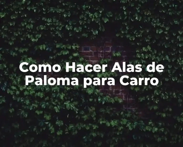 Como Hacer Alas de Paloma para Carro