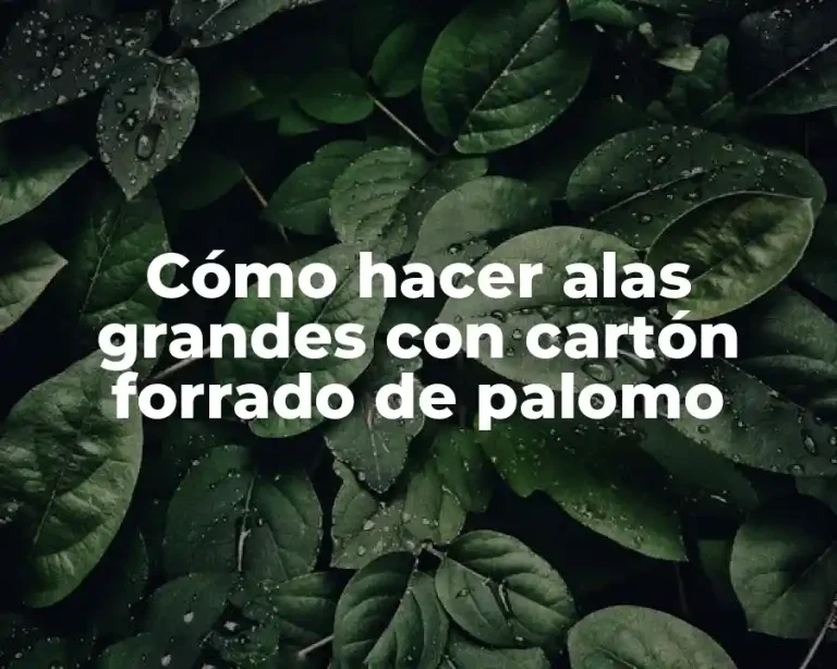 Cómo hacer alas grandes con cartón forrado de palomo