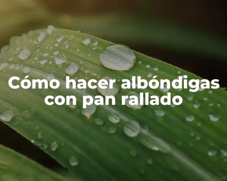 Cómo hacer albóndigas con pan rallado