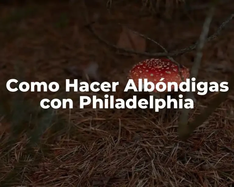 Como Hacer Albóndigas con Philadelphia