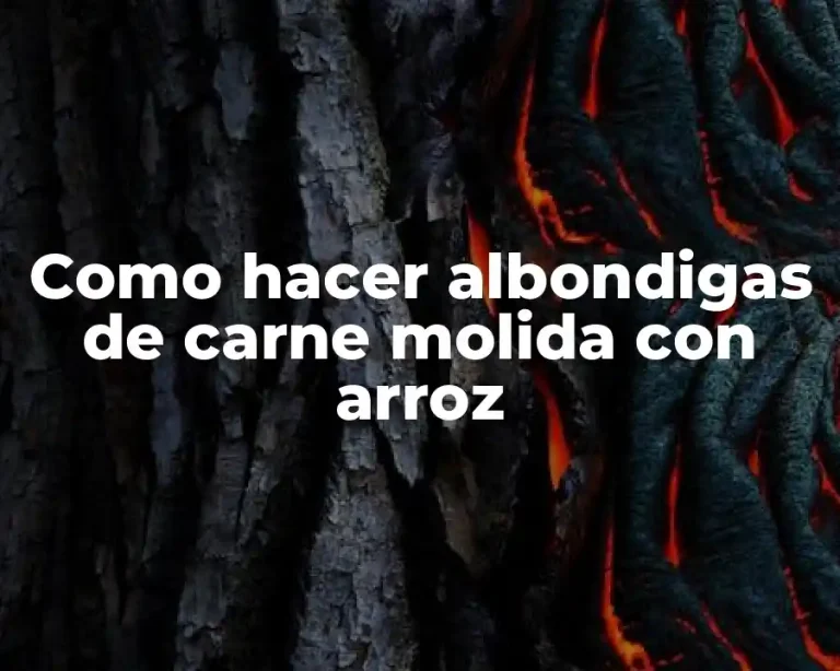 Como hacer albondigas de carne molida con arroz