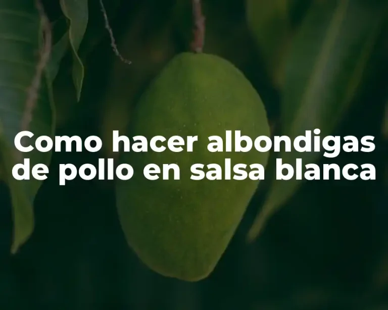 Como hacer albondigas de pollo en salsa blanca